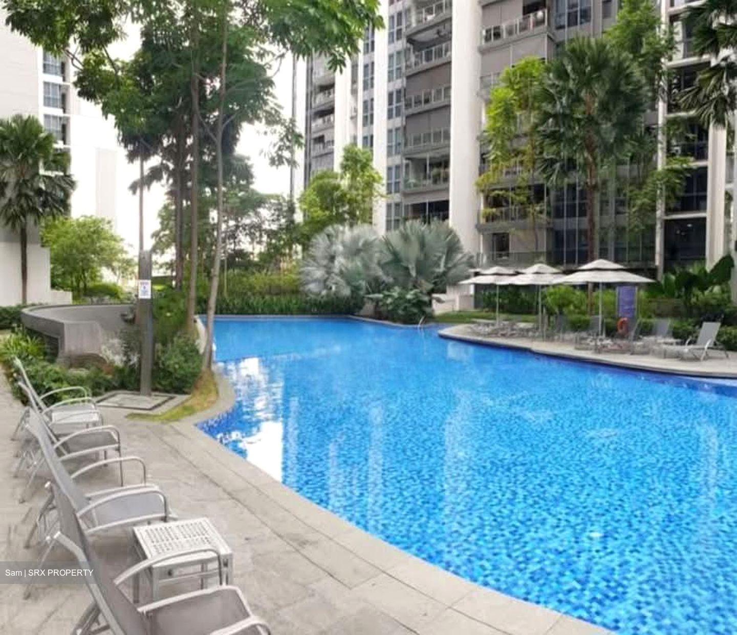 Bartley Ridge (D13), Condominium #592963401
